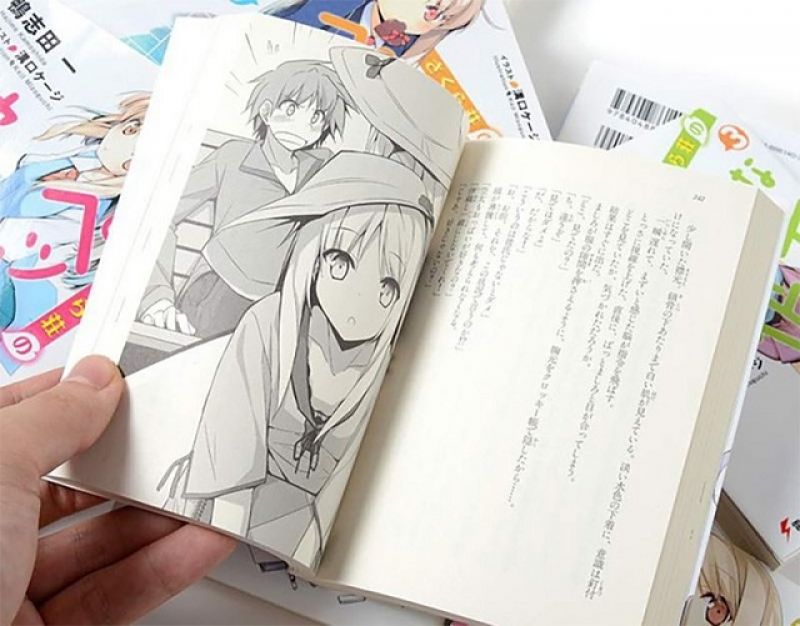light novel light novel