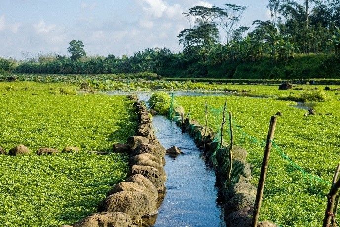 ⓒ Vietnam Net ⓒ Vietnam Net