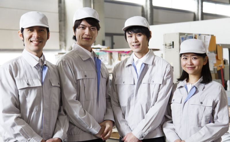 thực tập sinh thực tập sinh