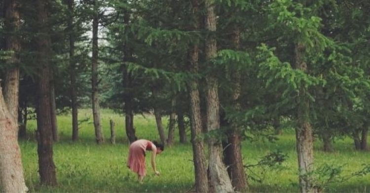 tắm rừng tắm rừng