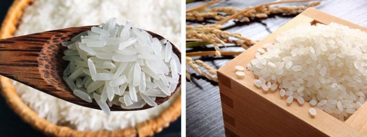 gạo Nhật gạo Việt