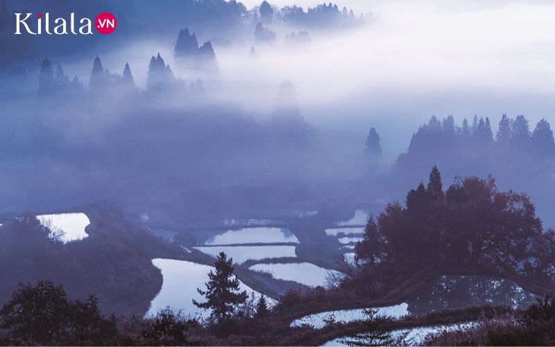 ruộng bậc thang ruộng bậc thang