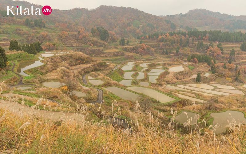 ruộng bậc thang ruộng bậc thang