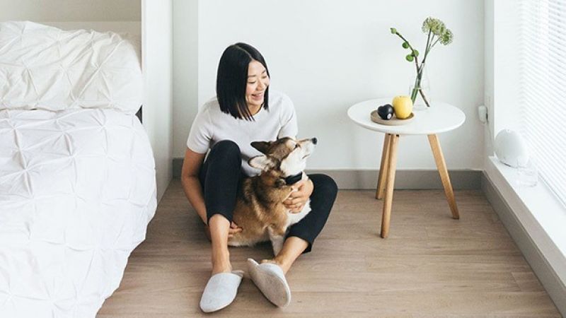 yêu đời không áp lực yêu đời không áp lực