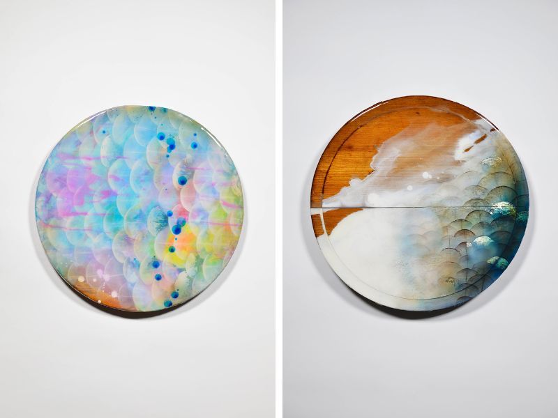 tranh vẩy cá tranh vẩy cá