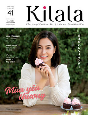 Vol.41